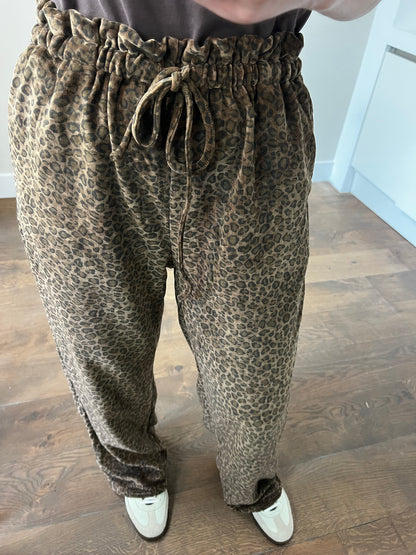 LOD of Love –  Leopard Fluweel Broek Bruin
