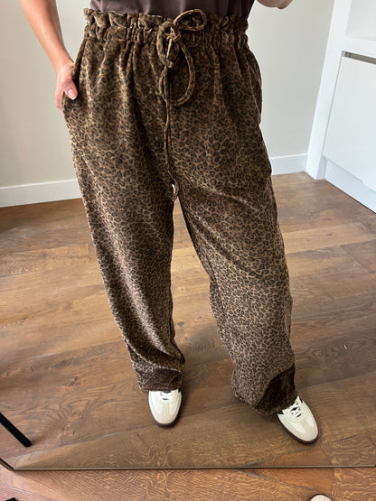 LOD of Love –  Leopard Fluweel Broek Bruin